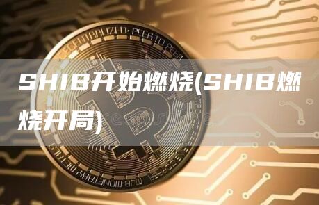 SHIB开始燃烧 - SHIB燃烧开局